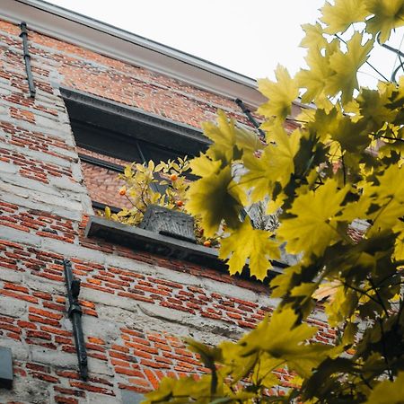 安特卫普Duplex In Historical Centre With Private Courtyard公寓 外观 照片