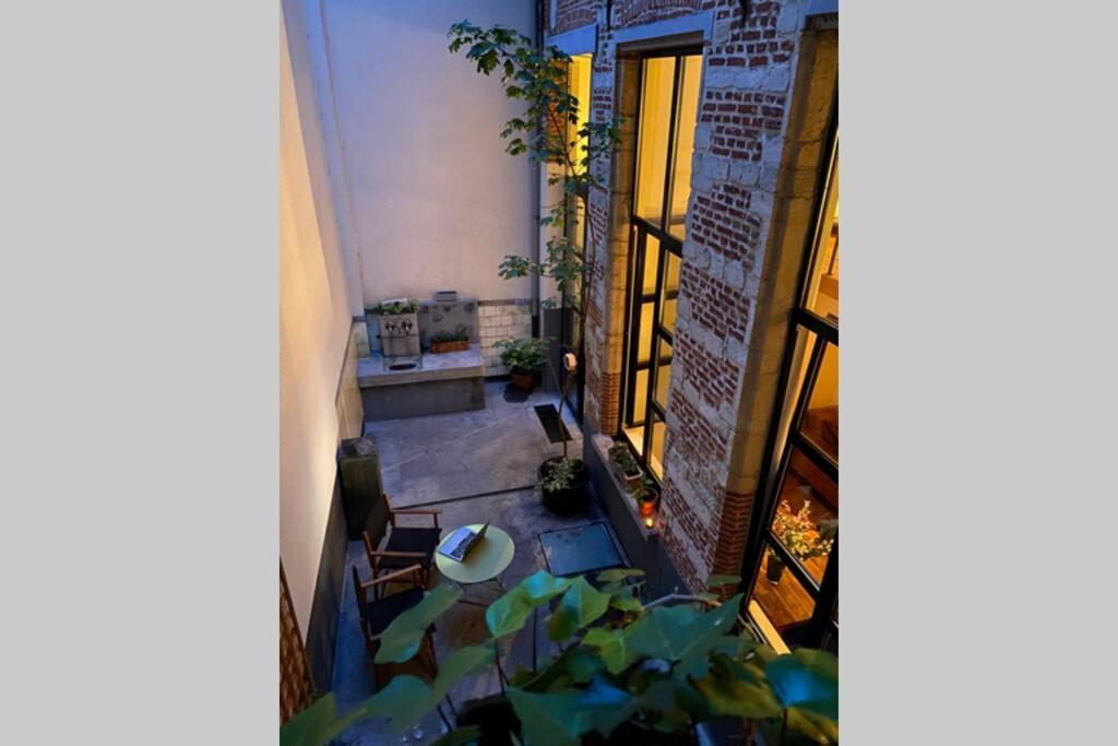 安特卫普Duplex In Historical Centre With Private Courtyard公寓 外观 照片